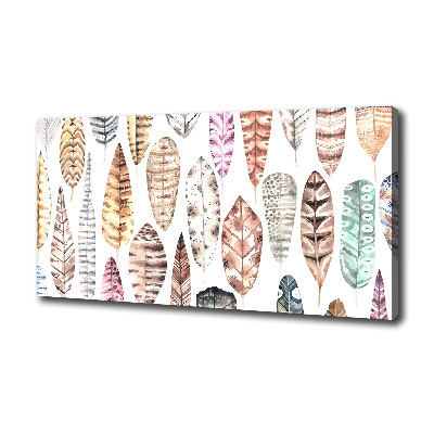 Wandbild Bunte Federn