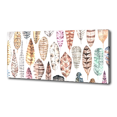 Wandbild Bunte Federn