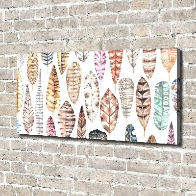 Wandbild Bunte Federn