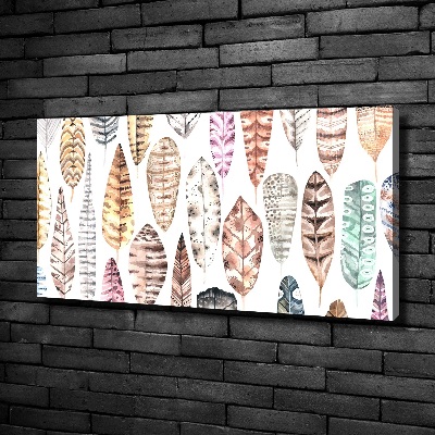 Wandbild Bunte Federn