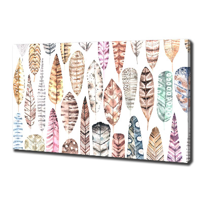 Wandbild Bunte Federn