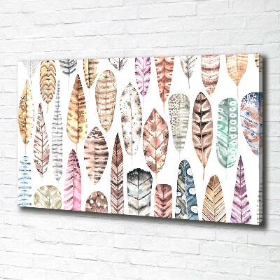Wandbild Bunte Federn