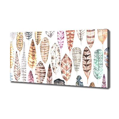 Wandbild Bunte Federn