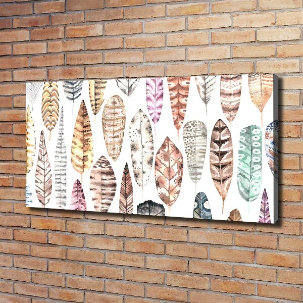 Wandbild Bunte Federn