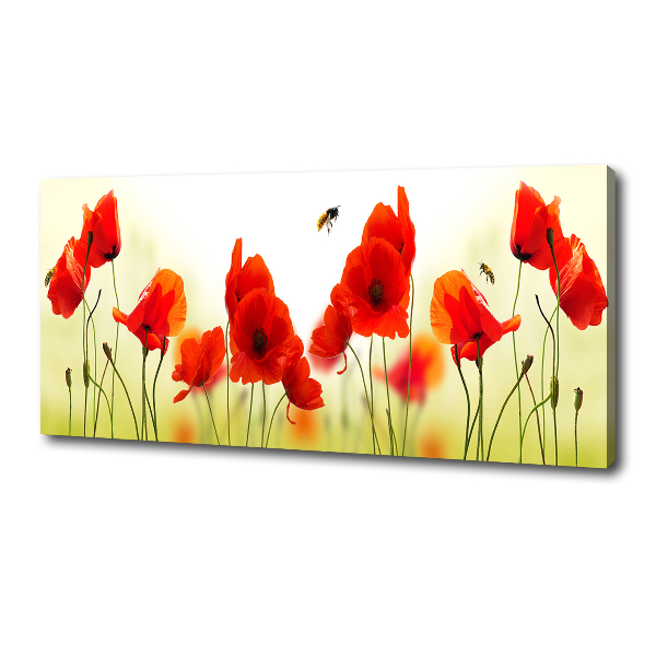 Wandbild Mohnblumen