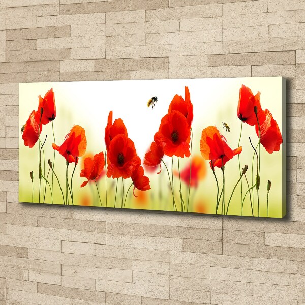 Wandbild Mohnblumen