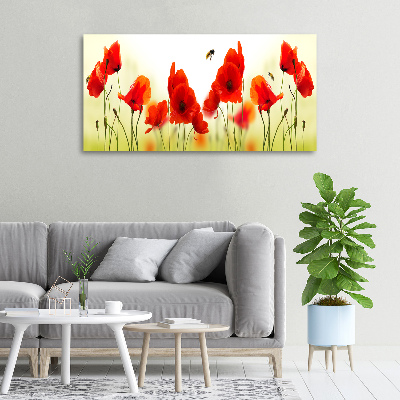Wandbild Mohnblumen