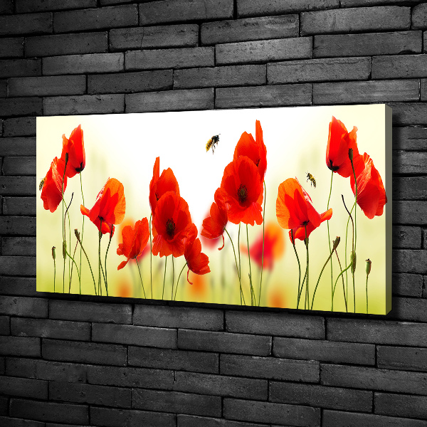 Wandbild Mohnblumen
