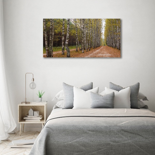 Bild auf leinwand Birkenallee