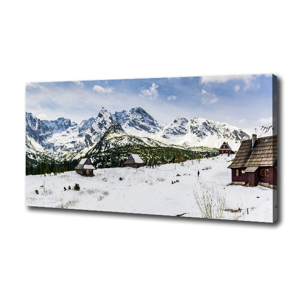 Fotobild Weiden im Tatra-Gebirge