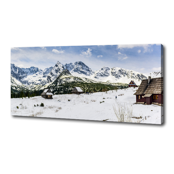 Fotobild Weiden im Tatra-Gebirge