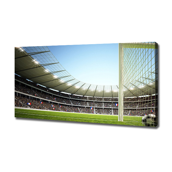 Fotobild Stadium France