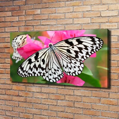 Fotobild Schmetterling auf einer Blume