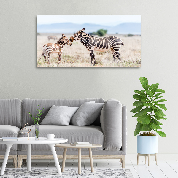 Bild auf leinwand Zebras in den Bergen