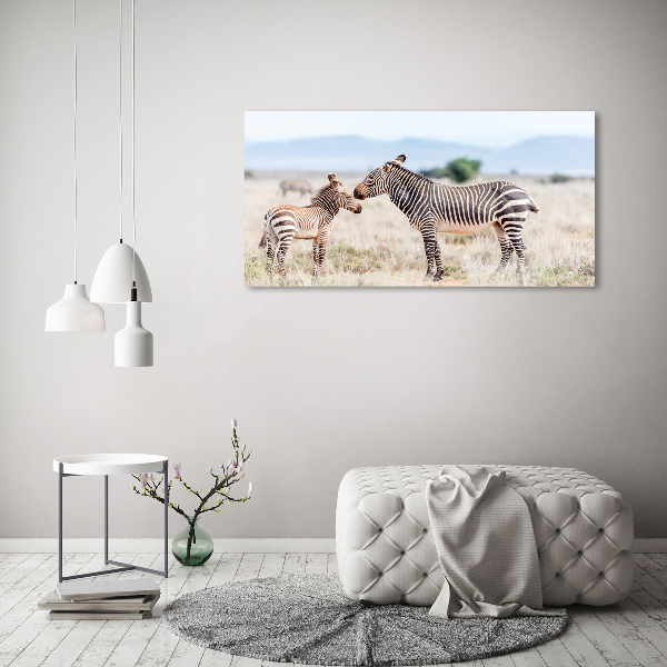 Bild auf leinwand Zebras in den Bergen