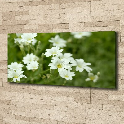Bild auf leinwand Frühlingsblumen