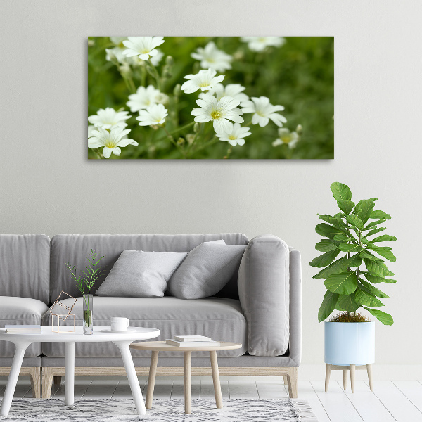 Bild auf leinwand Frühlingsblumen