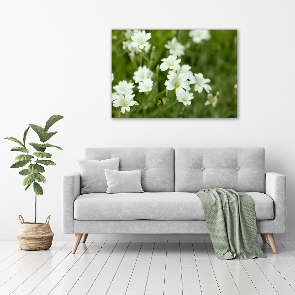 Bild auf leinwand Frühlingsblumen