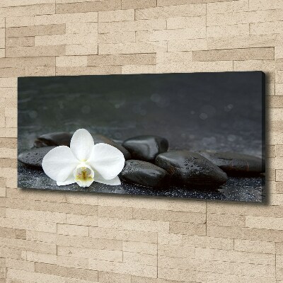 Bild auf leinwand Orchidee