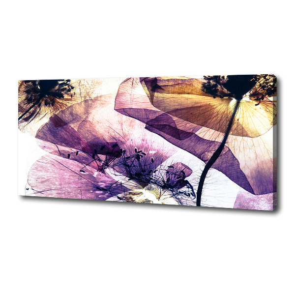 Wandbild Getrocknete Mohnblumen