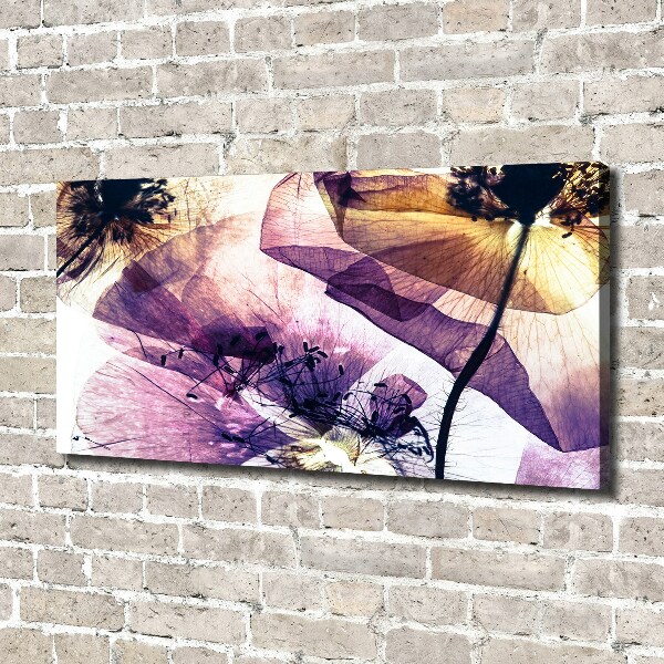 Wandbild Getrocknete Mohnblumen