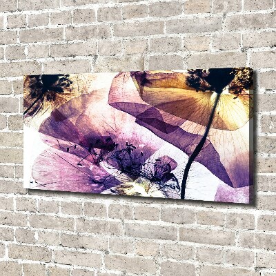 Wandbild Getrocknete Mohnblumen