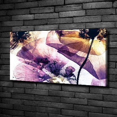 Wandbild Getrocknete Mohnblumen