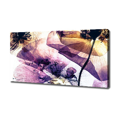 Wandbild Getrocknete Mohnblumen