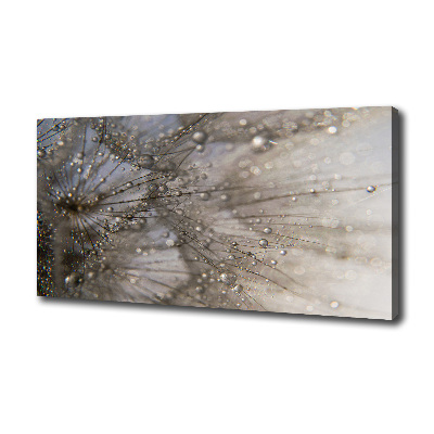 Bild auf leinwand Löwenzahnsamen