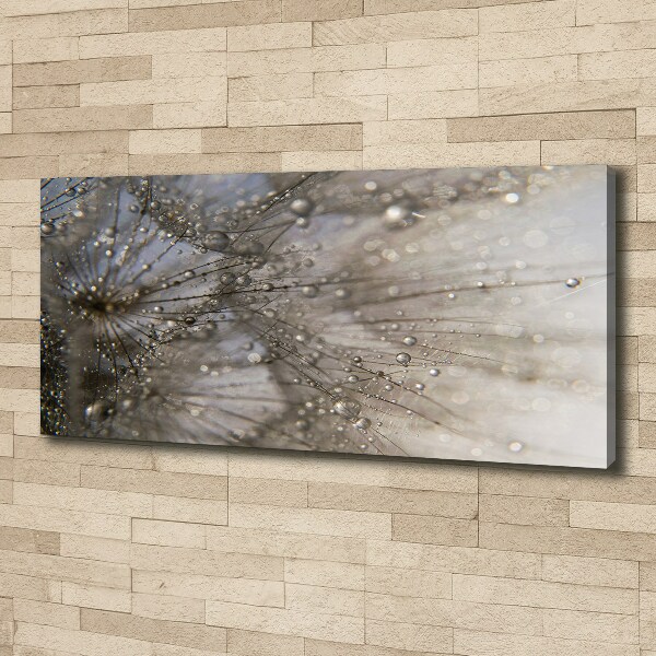 Bild auf leinwand Löwenzahnsamen