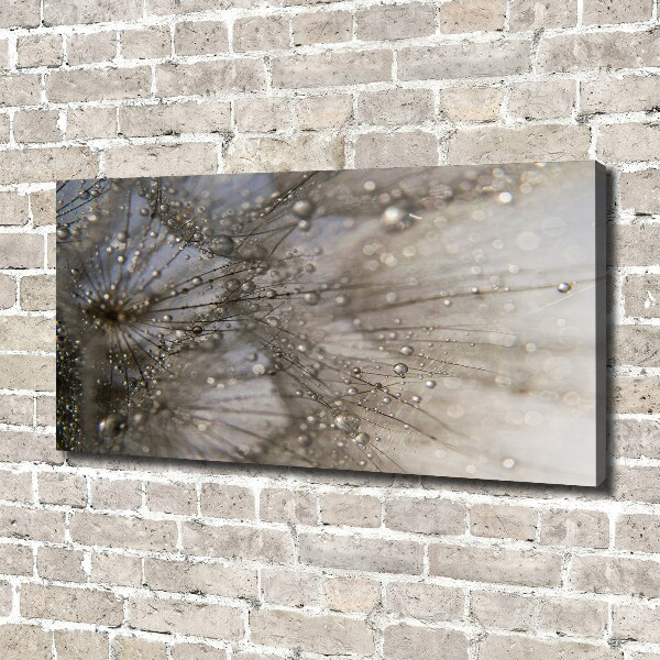 Bild auf leinwand Löwenzahnsamen