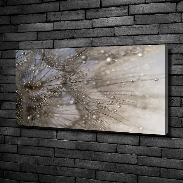 Bild auf leinwand Löwenzahnsamen