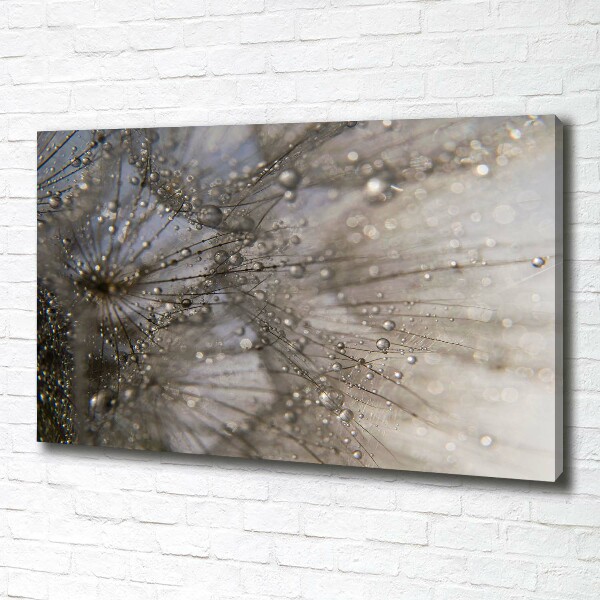 Bild auf leinwand Löwenzahnsamen