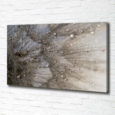 Bild auf leinwand Löwenzahnsamen