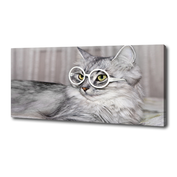 Wandbild Katze mit Brille