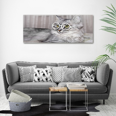 Wandbild Katze mit Brille