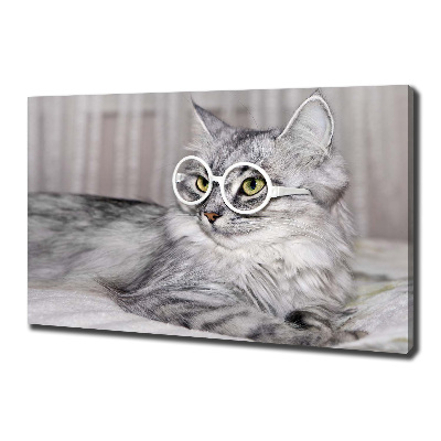 Wandbild Katze mit Brille
