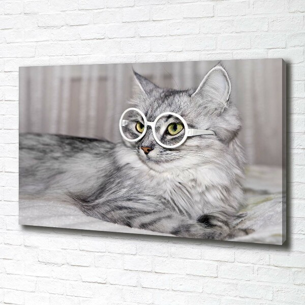 Wandbild Katze mit Brille