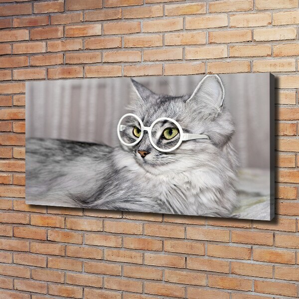 Wandbild Katze mit Brille
