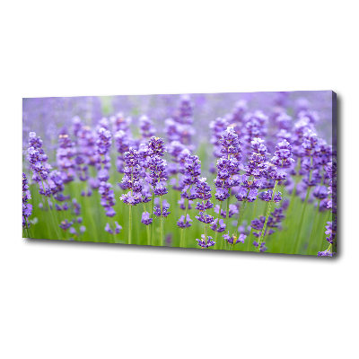 Wandbild Lavendel