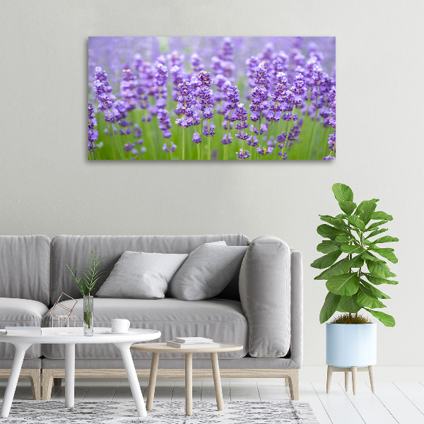 Wandbild Lavendel