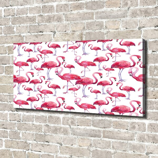 Bild auf leinwand Flamingos