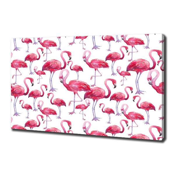 Bild auf leinwand Flamingos