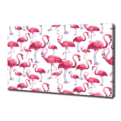 Bild auf leinwand Flamingos