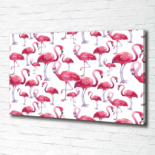 Bild auf leinwand Flamingos