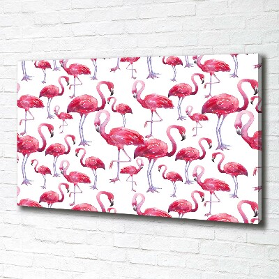 Bild auf leinwand Flamingos