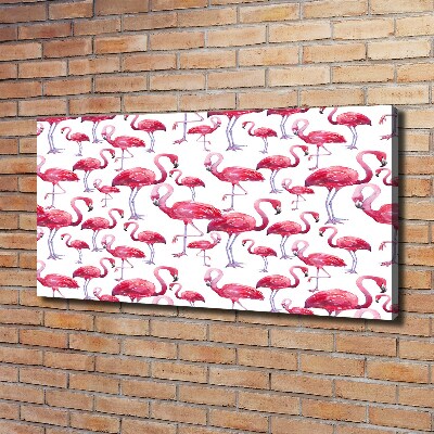 Bild auf leinwand Flamingos