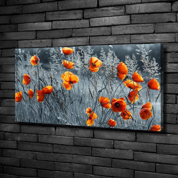 Bild auf leinwand Feldmohn