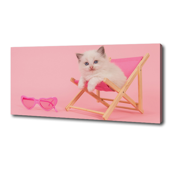 Bild auf leinwand Katze auf einem Liegestuhl