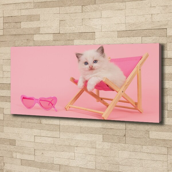 Bild auf leinwand Katze auf einem Liegestuhl
